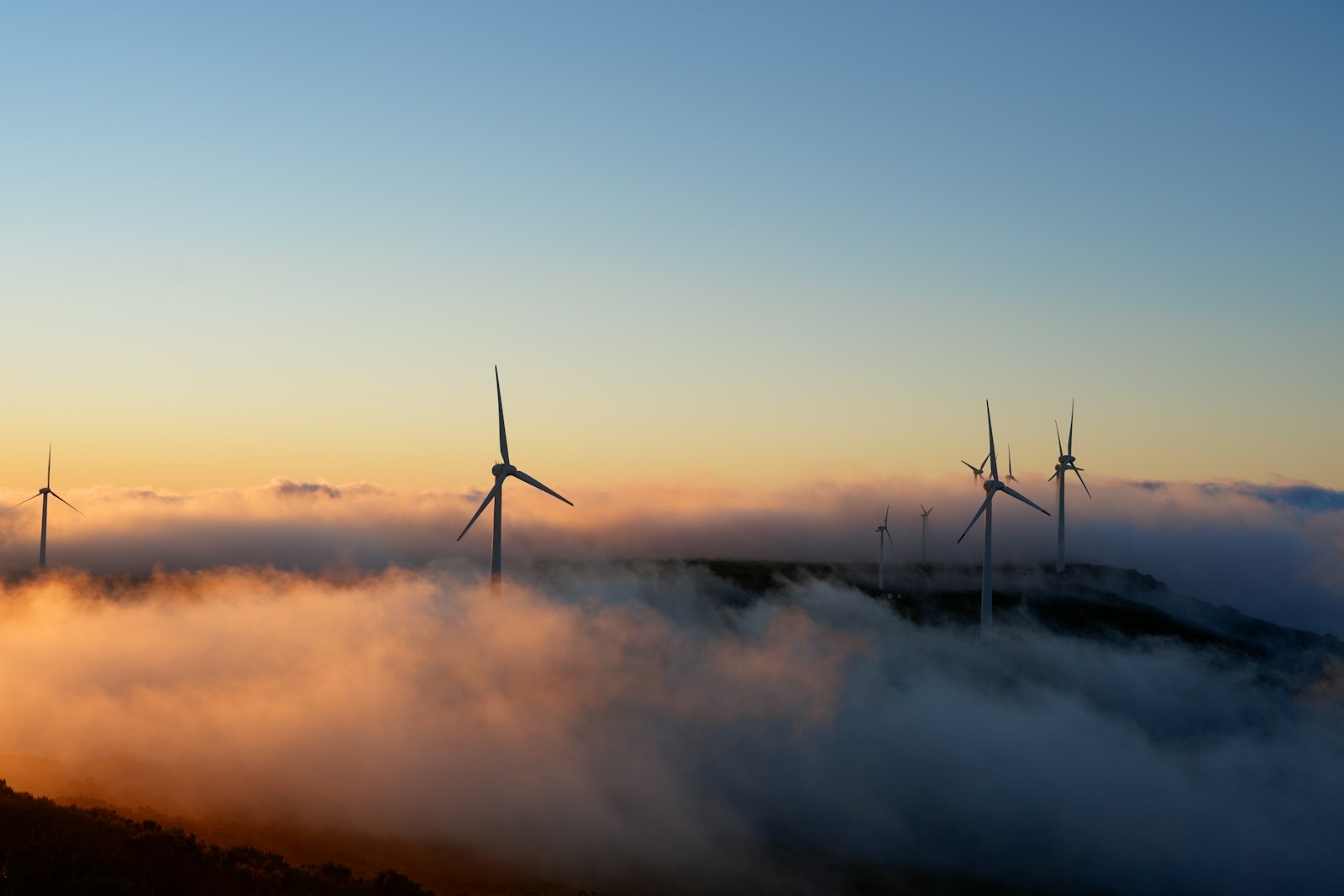 Wind turbines rising above morning fog
